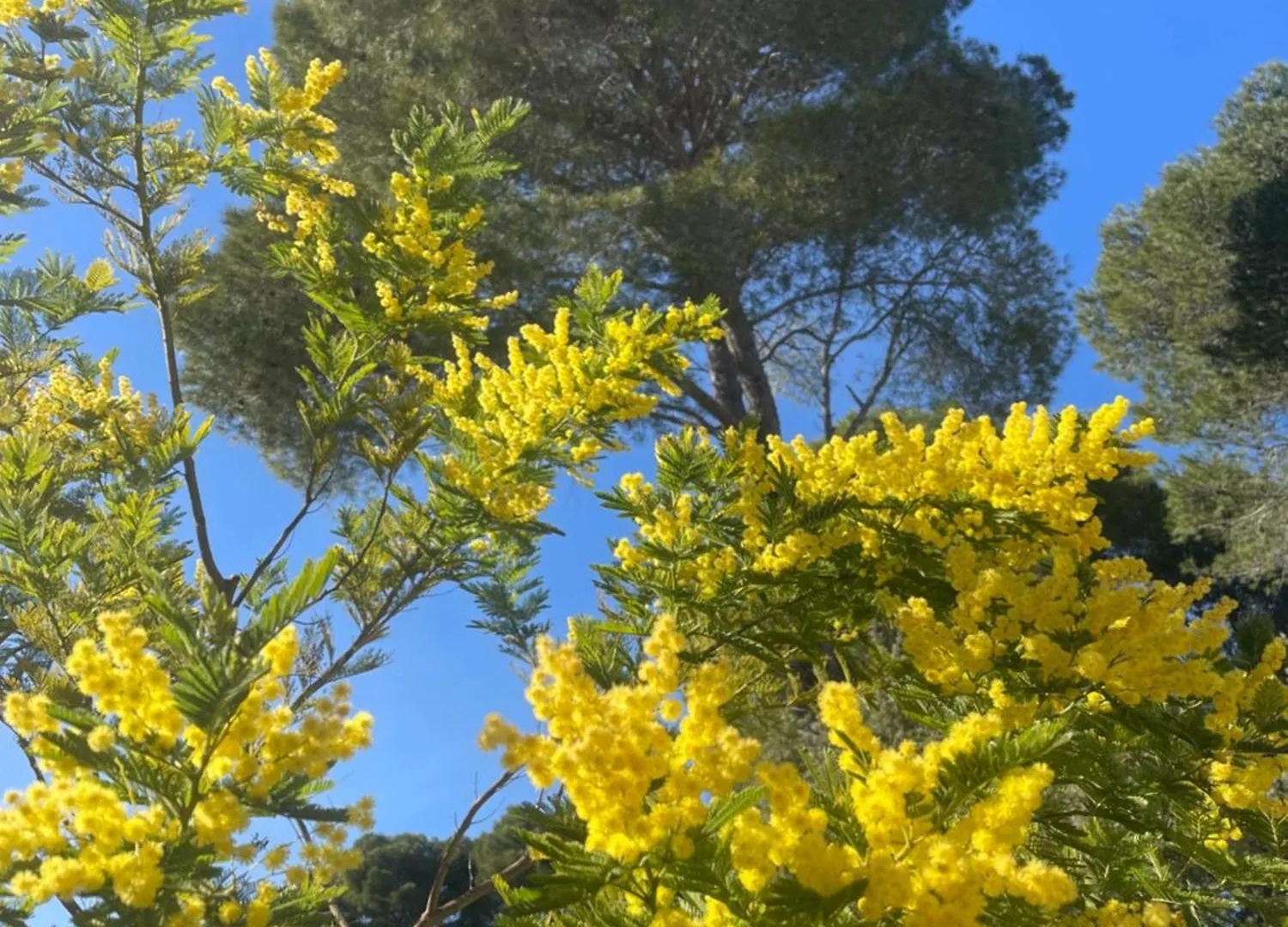 Villa Taradis Taradeau Oda ve Kahvaltı